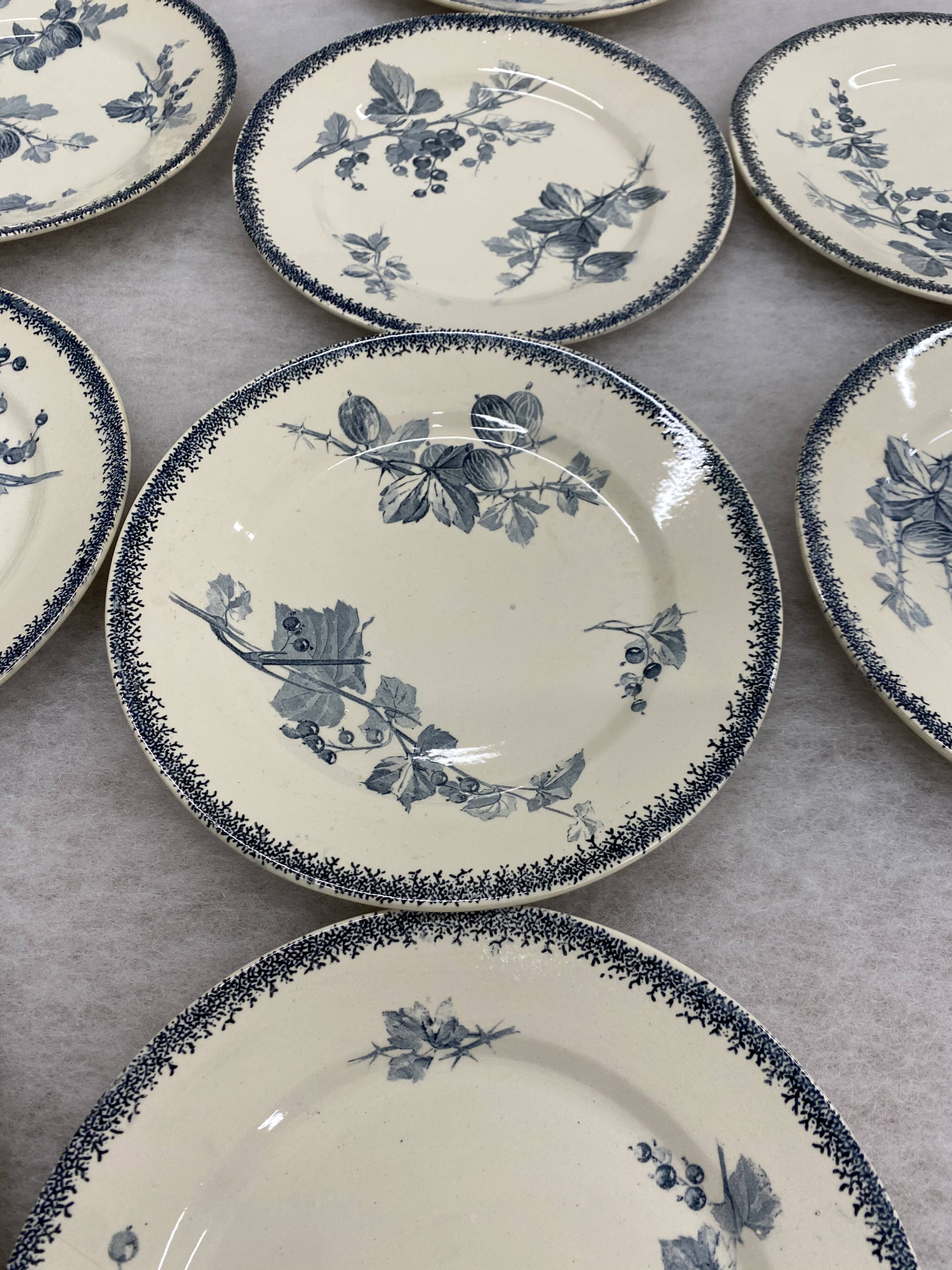Lit de 11 assiettes à dessert Groseilles de Sarreguemines