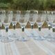 8 old white wine glasses engraved with a frieze late 19th early 20th