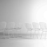 Set of 7 white coated wire chairs by Harry Bertoia for Knoll, 1970s