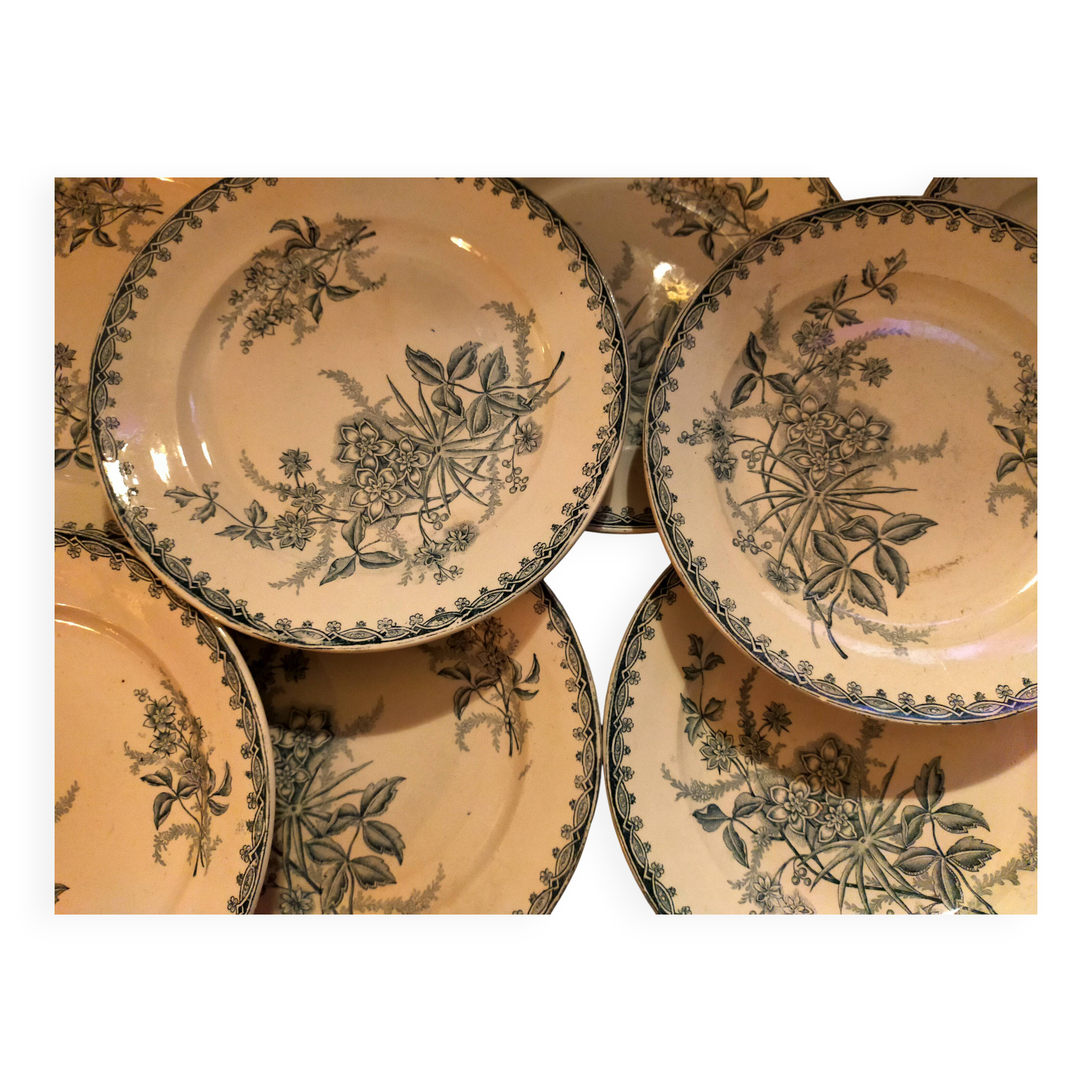 Set of ten vintage Terre de Fer Pervenche pattern plates