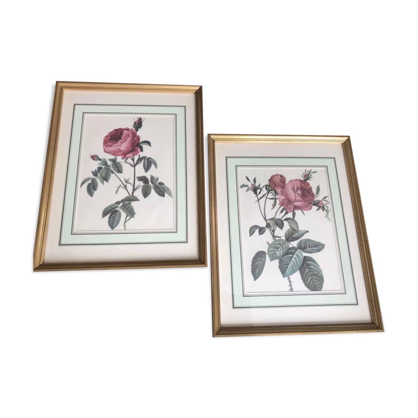 Set of 2 framed paintings botanical engraving rose coaster