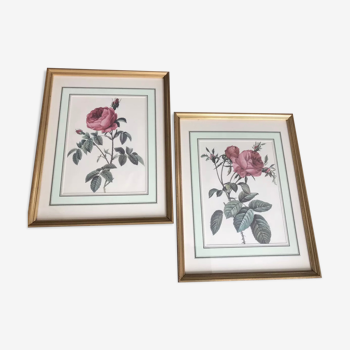 Ensemble de 2 tableaux encadrés gravure botanique rose sous-verre