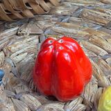 Salt and pepper shakers vegetable ceramic Vallauris