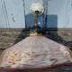 Applique en verre clichy rose