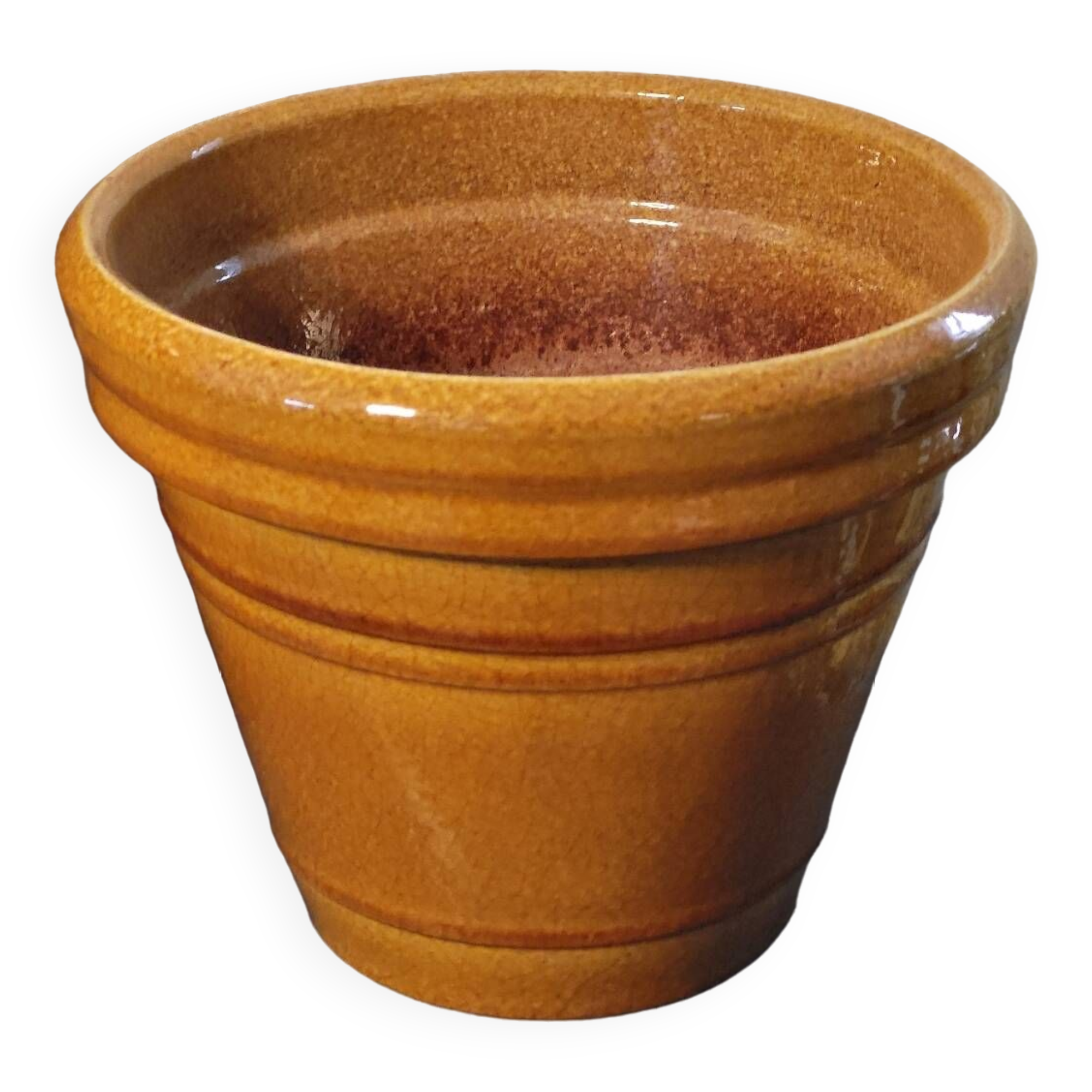 Mustard planter