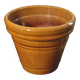 Mustard planter