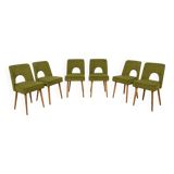Shell Chairs from Bydgoszcz Furniture Factory, Poland, 1960s, Set of 6