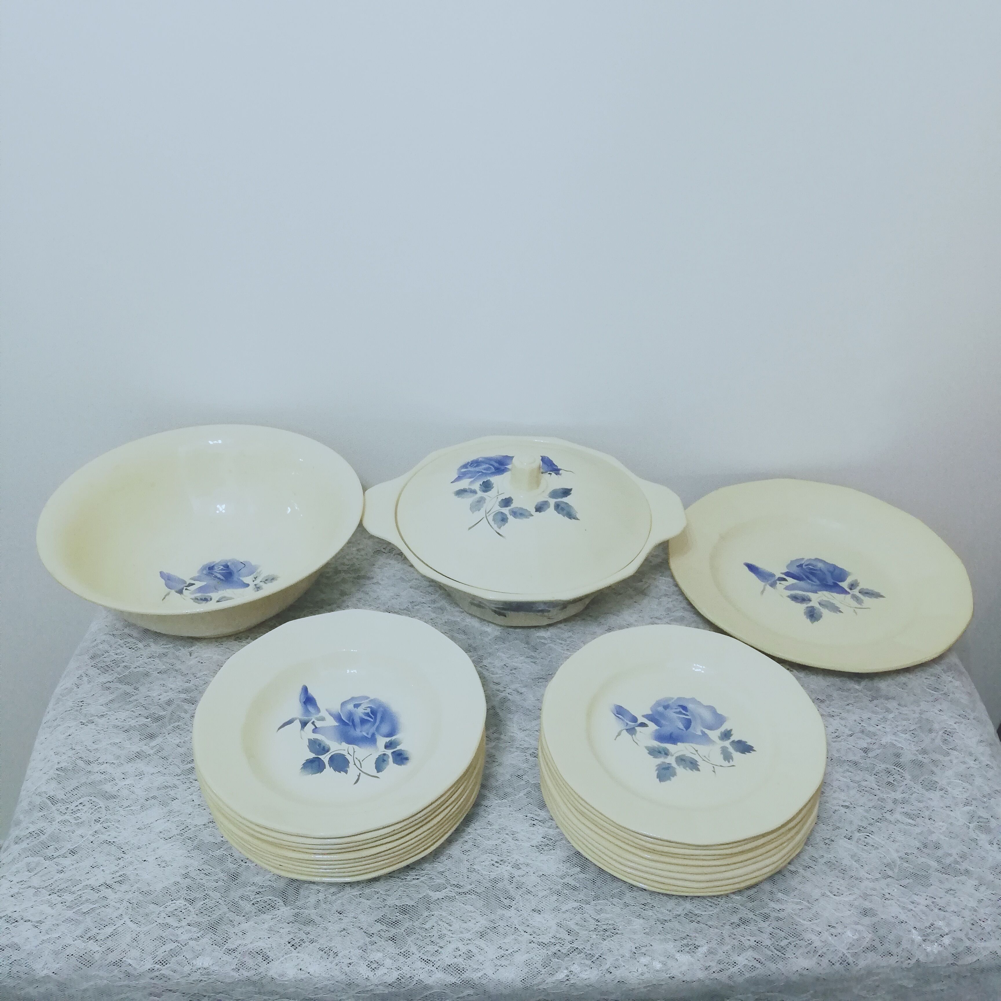 Service 24 pieces in iron earth Digoin Sarreguemines