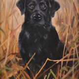 John Trickett b.1952. Black Labrador. Oil on Board. Framed. Original Dog Oil Painting. Portrait.