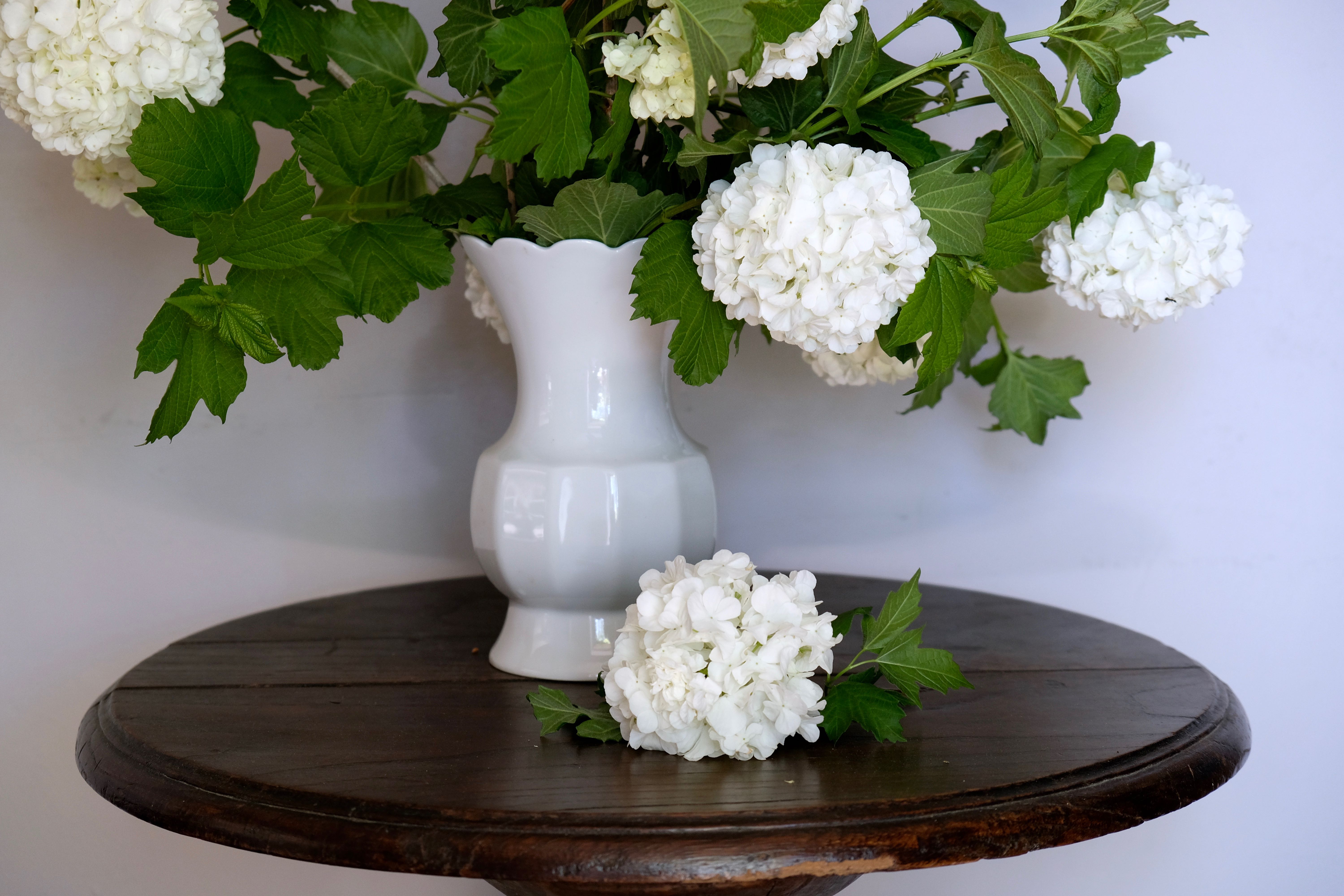 White vase Bareuther Waldsassen 50s