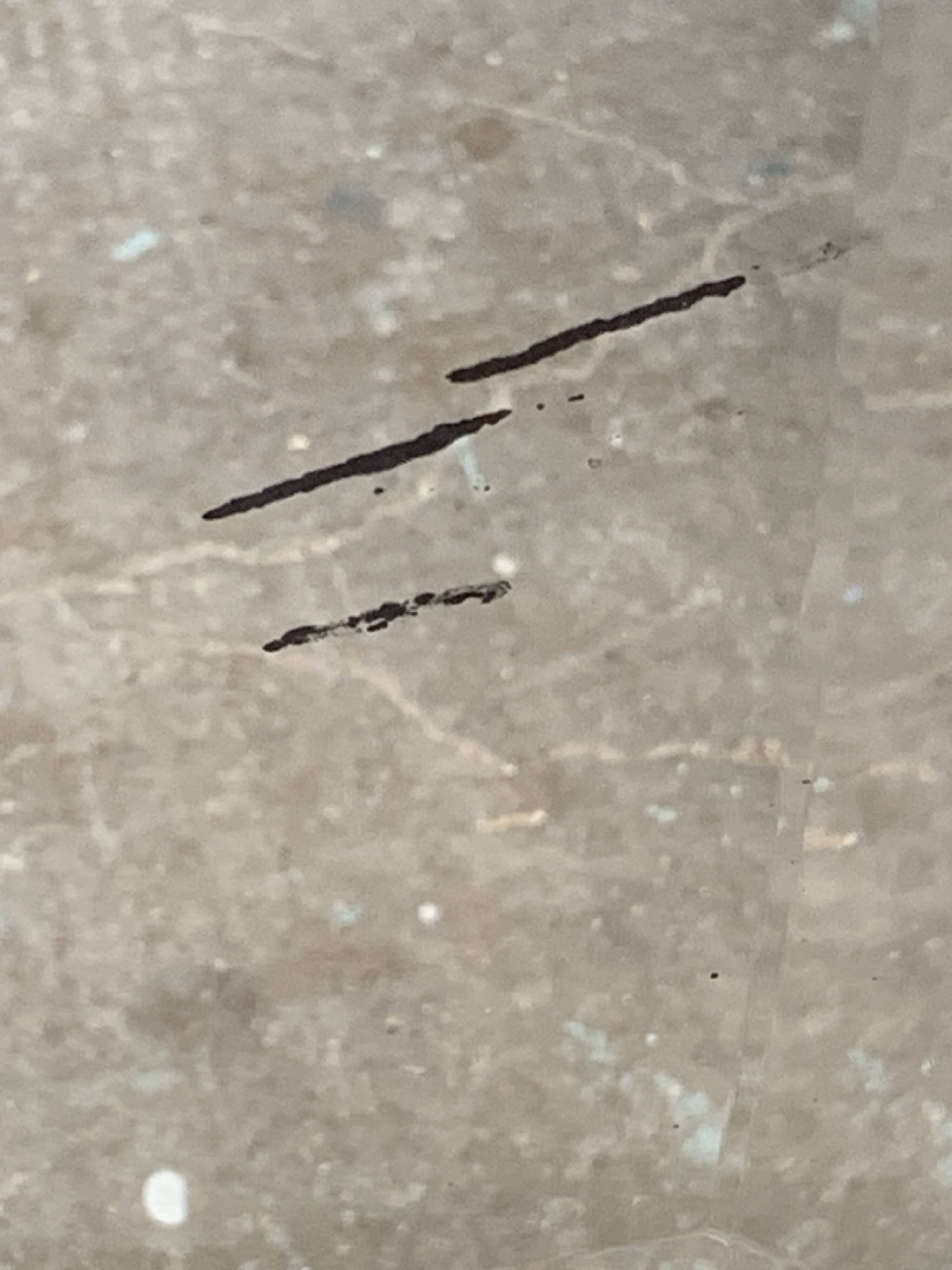 Beveled mirror on turquoise Parisian door