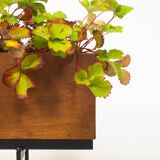 Vintage extra large teak planter