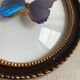 Cadre verre bombé papillon «Morpho menelaus»