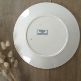 Lot 5 mismatched iron earth flat plates
