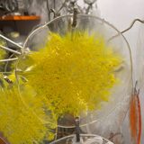 Murano Glass Disc Snowflake Chandelier 1960’s