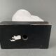 Plaster shell on blackened wooden base cabinet of curiosities XXth