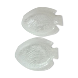 Pair of glass fish-shaped flat plates