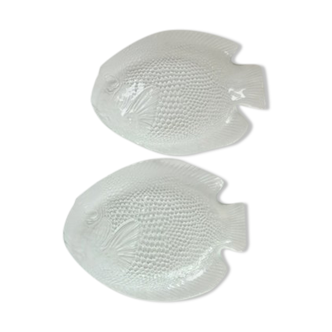 Pairs of plates flat glass fish shape