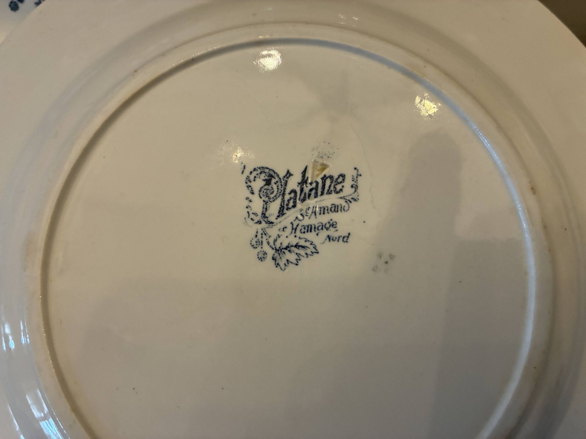 Lot de 5 assiettes plates Saint Amand Terre de Fer