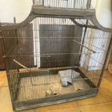 Birdcage 1900