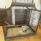 Cage à oiseaux 1900