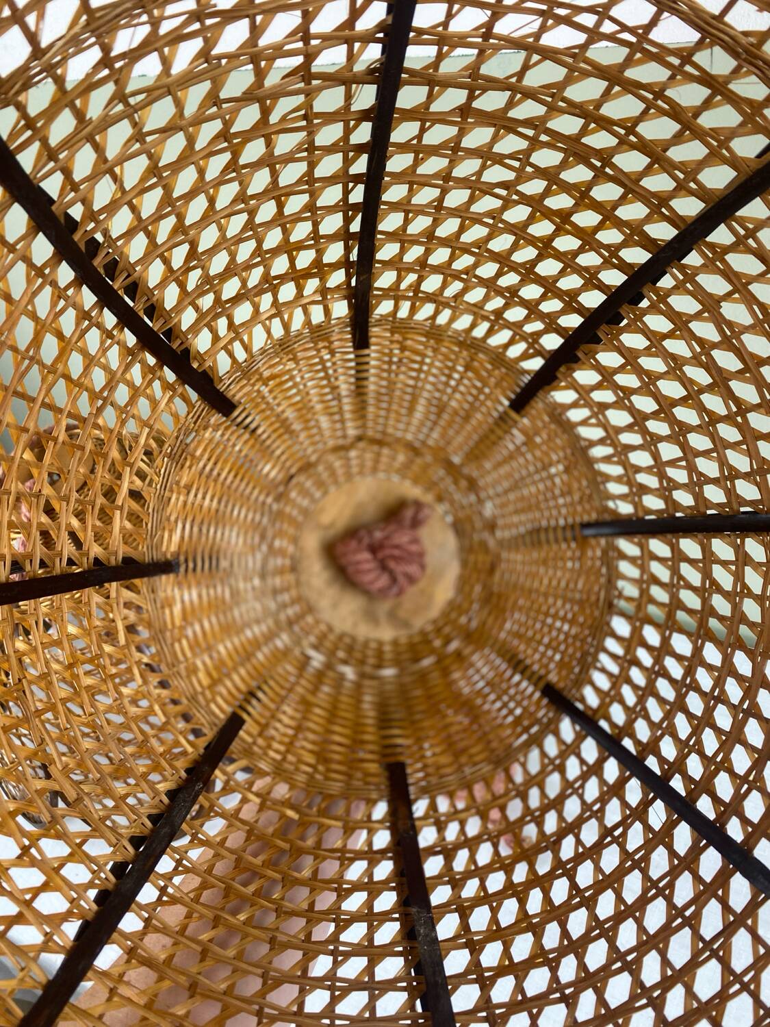 Vintage tulip hanging