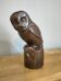Glazed stoneware owl signed Drillon – Puisaye, 1950s
