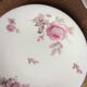 Lot de 2 assiettes raynaud limoges