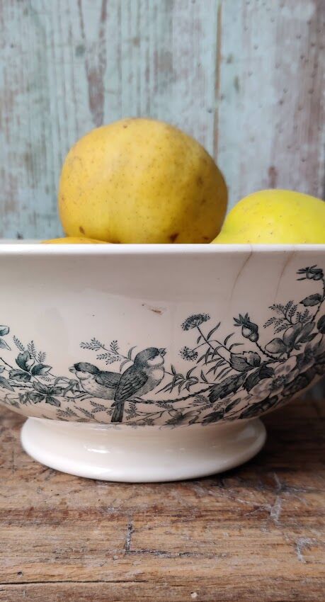 Salad bowl "Cute" from Longwy