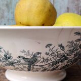 Salad bowl "Cute" from Longwy