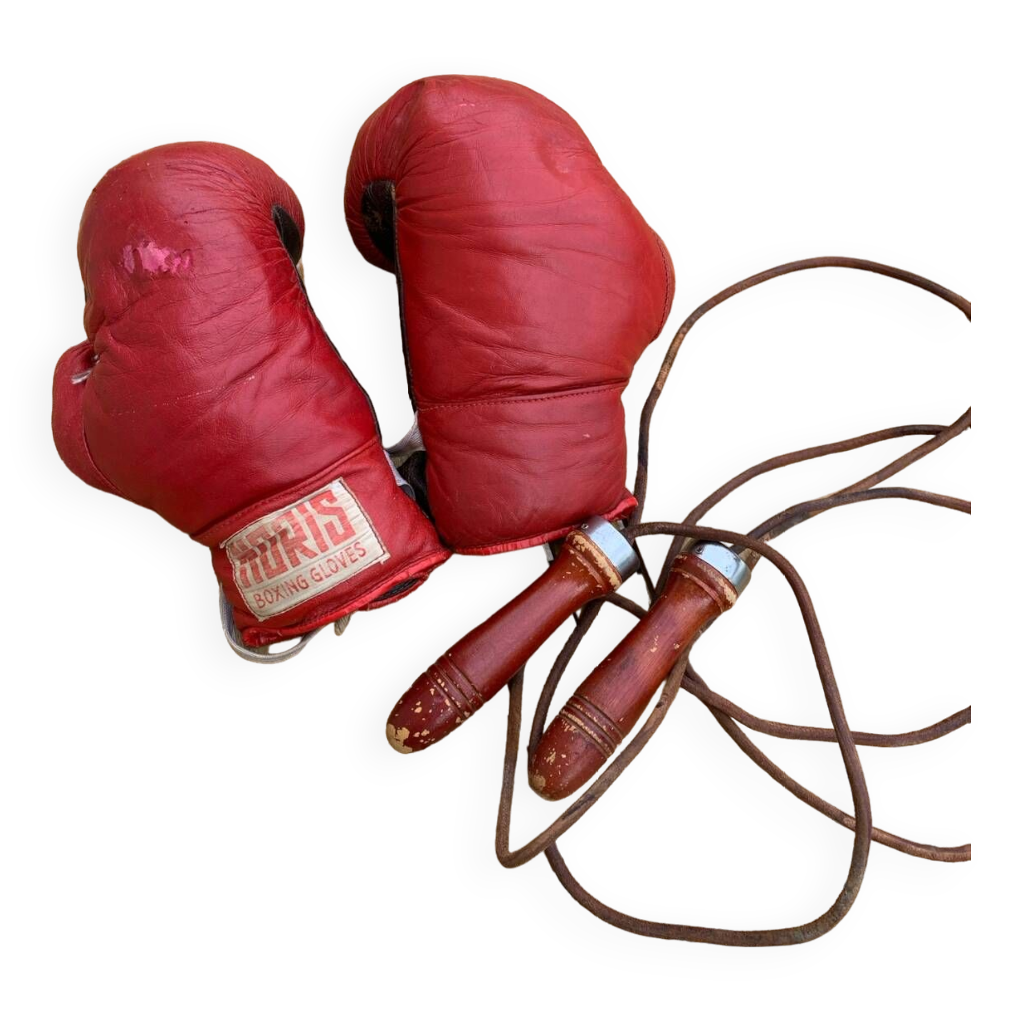 Boxing gloves plus jump rope with leather straps