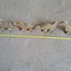set of 4 wooden toys on wheels