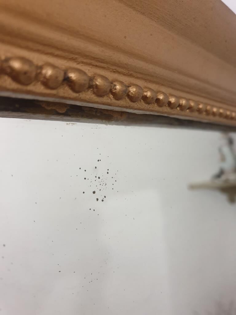 Louis Philippe mirror - Golden mirror - Old mirror