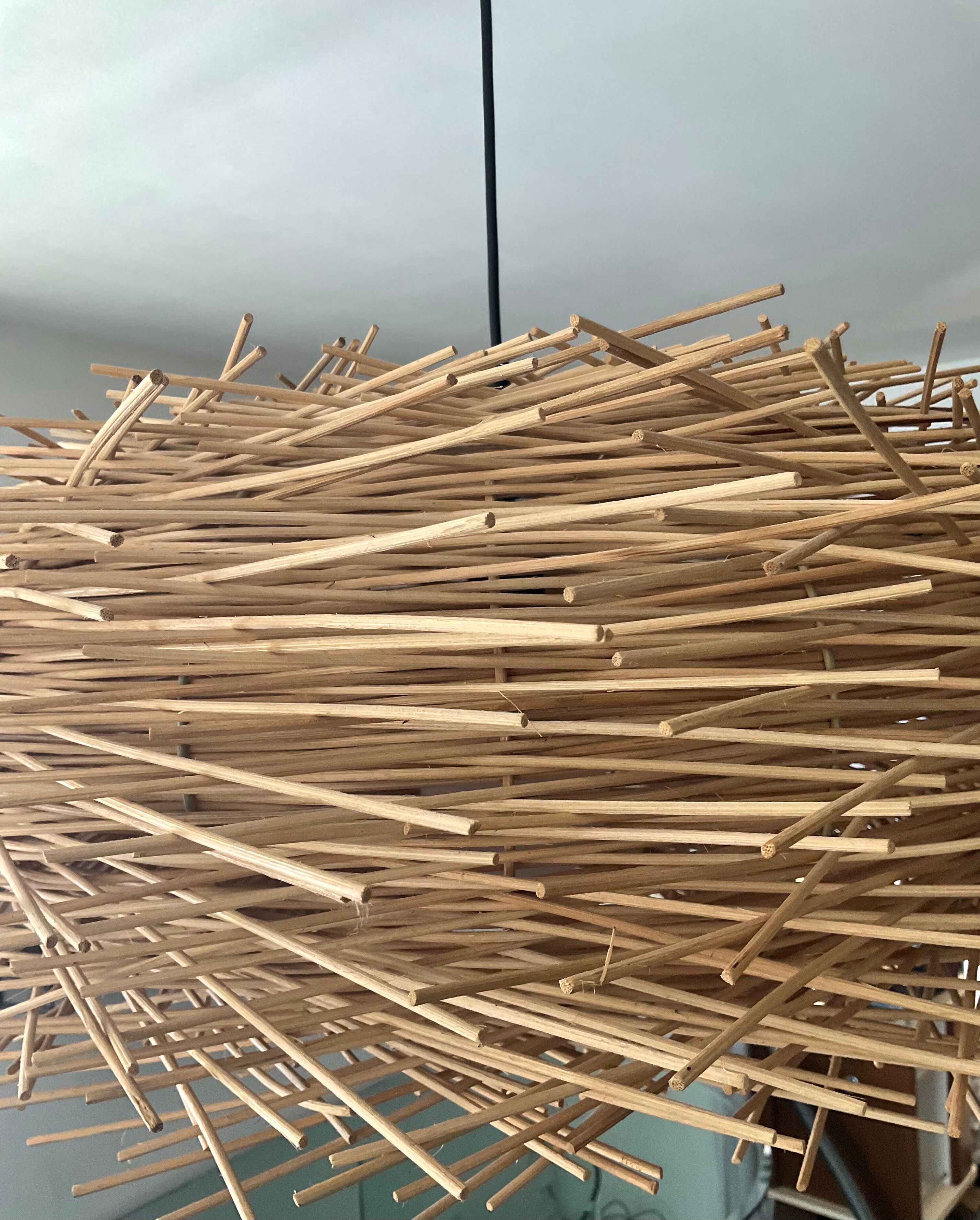 Natural rattan nest suspension