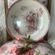 Deep dish in ironstone stamped Sarreguemines Fontanges model