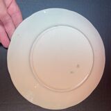Set of 2 old plates in slip
