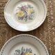 6 Digoin Sarreguemines flat plates from the 40s