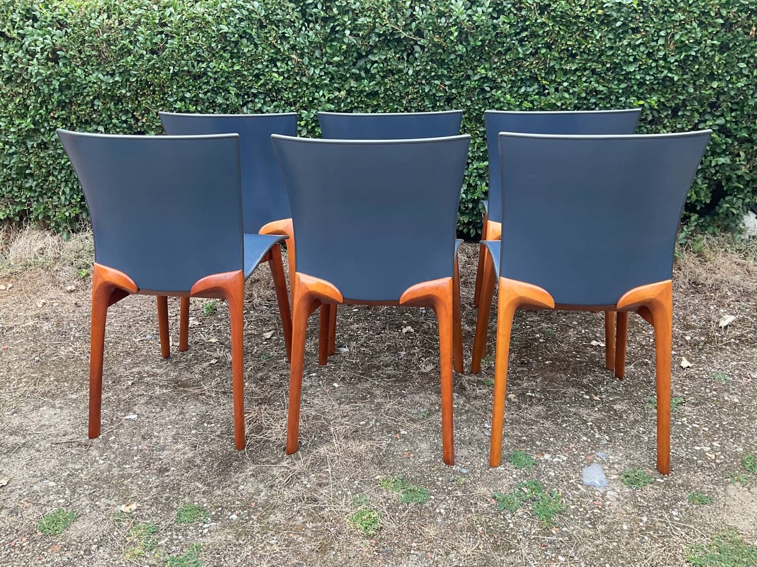 Série de 6 chaises Cassina par Josep Llusca