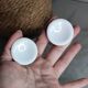 White porcelain hen egg cups