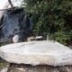 Old stone sink