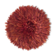 Juju hat rouille 50 cm