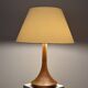 Lampe de table vintage danoise des années 50 scandinave