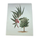 Eucalyptus Illustration - Vintage Nature Plate - Botanical Tree from the 60s