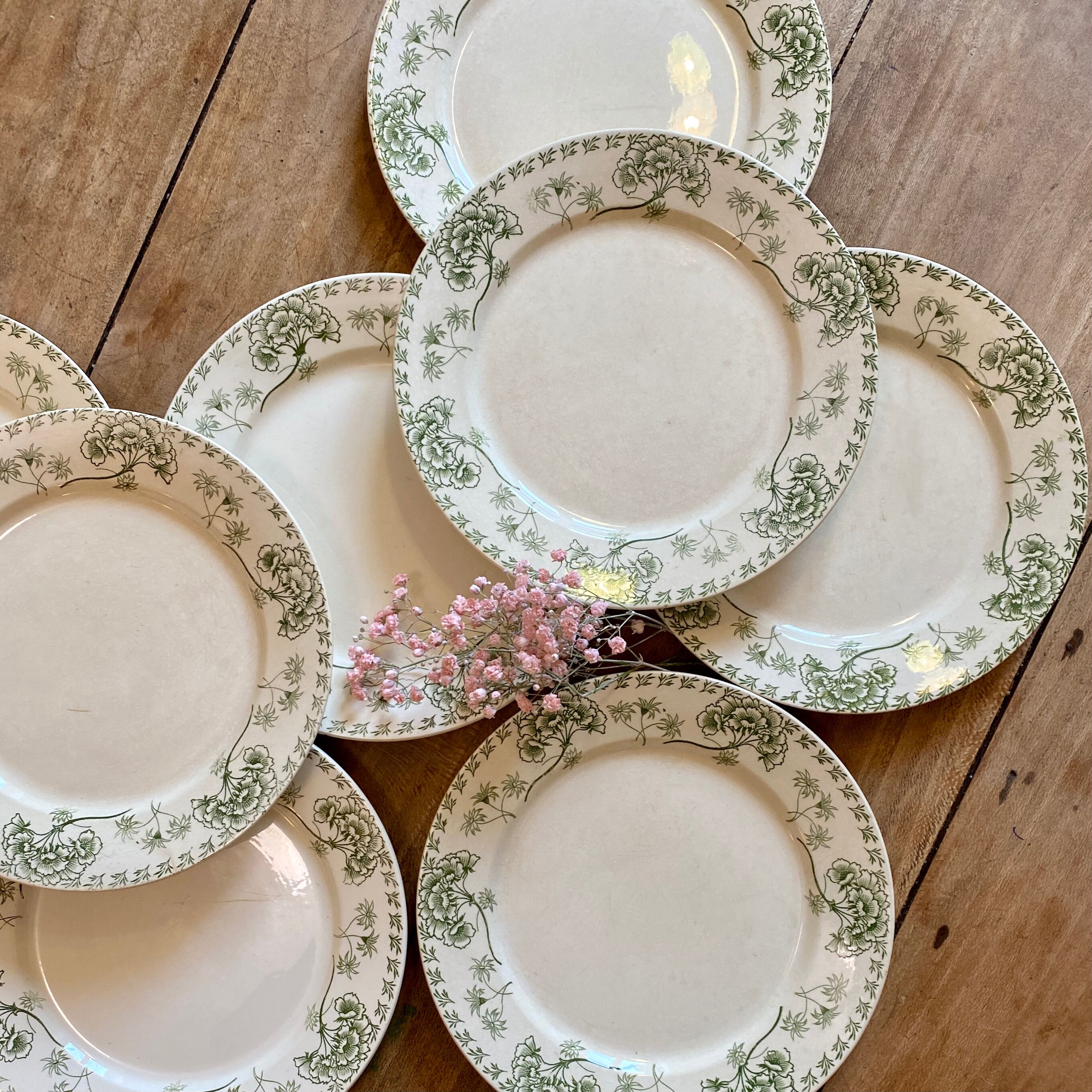 Set of 8 vintage plates in palmyre de sarreguemines iron earth (lot 3)