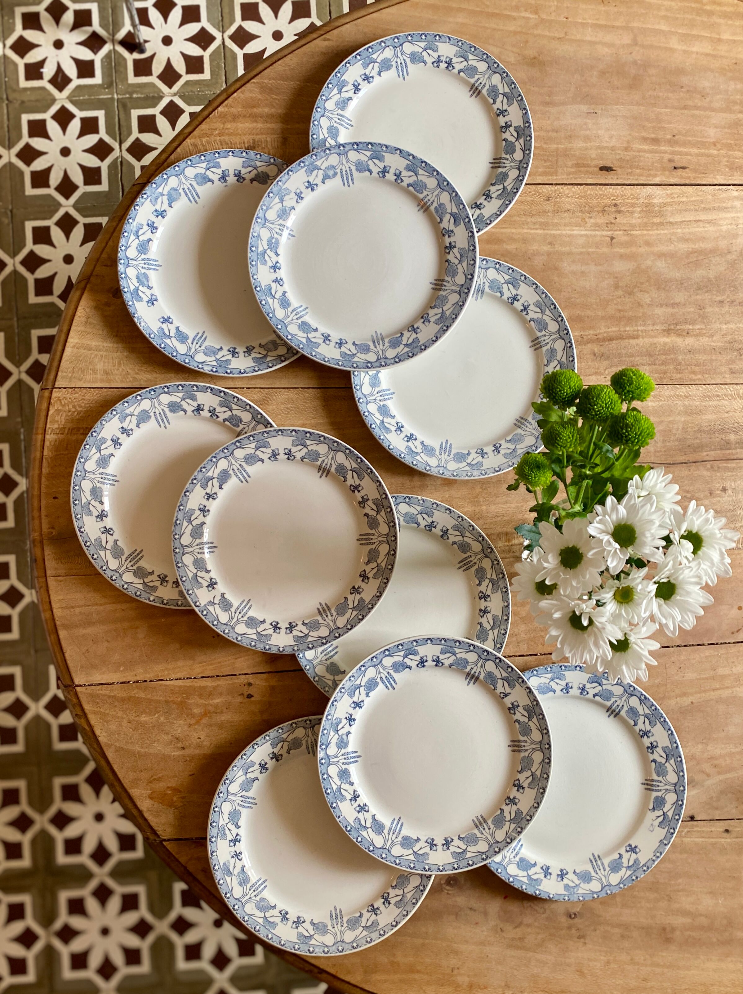 Set of 10 old flat plates in iron earth, model Noisette de Sarreguemines