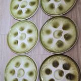 6 assiettes à huîtres 60'