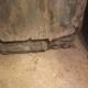 Old glazed oak doors