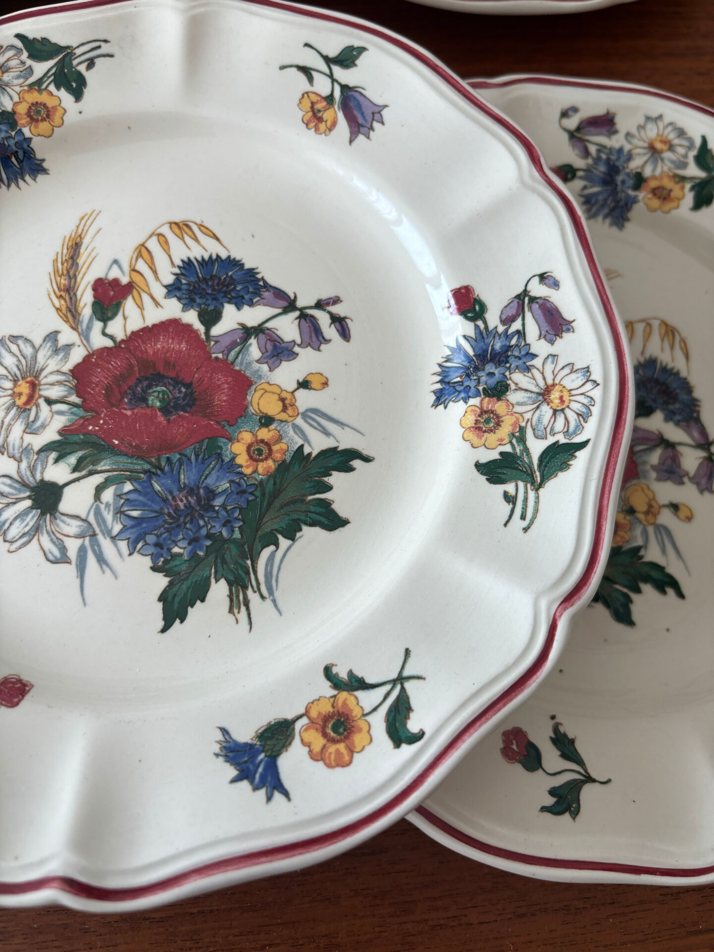 Set of 6 dessert plates Sarreguemines – Agreste model - earthenware
