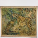 School Poster - The Royal Tigers