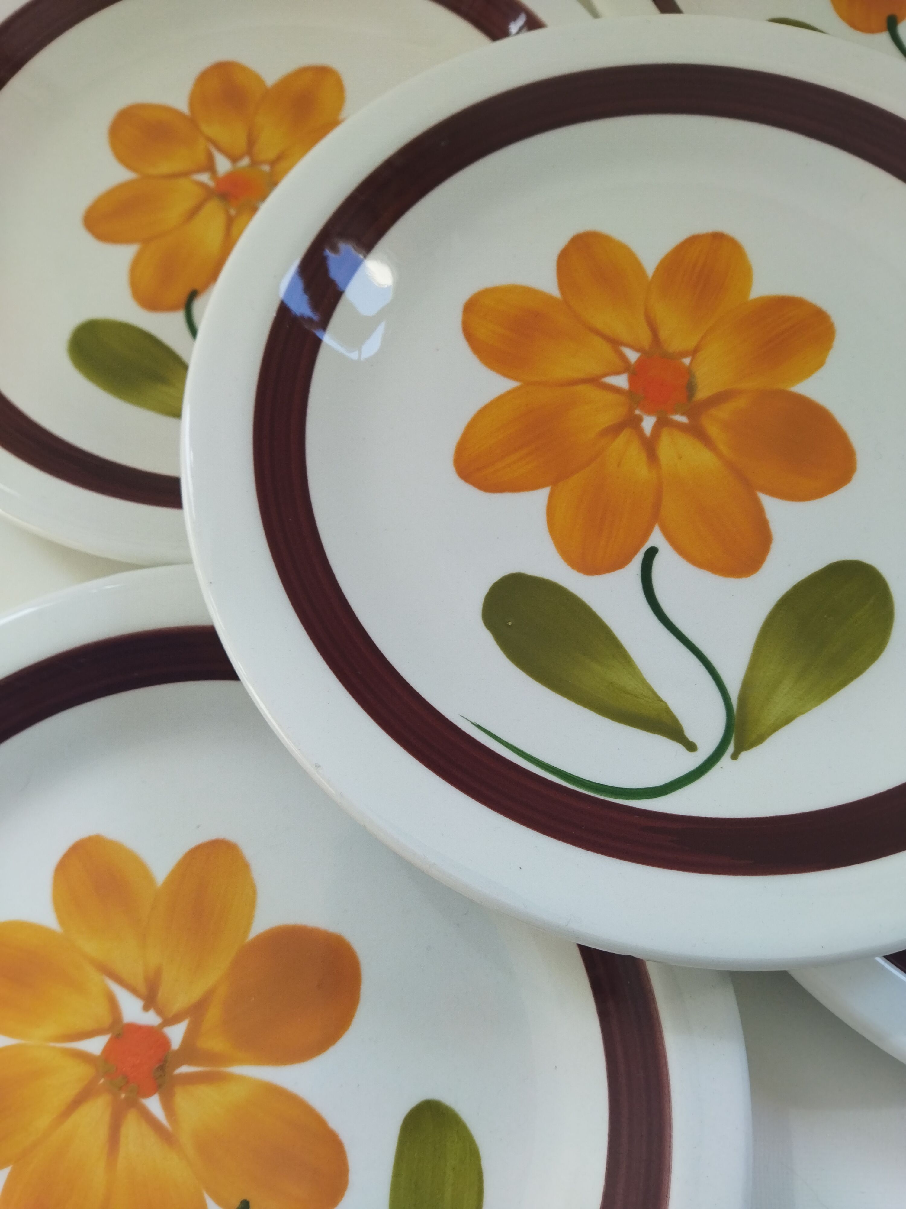 6 plates in vintage Italian earthenware 1970